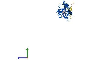 AlphaFold protein structure predicition of Mouse Recombinant Clec2e Protein, UniprotID Q80XD9 (Clec2e Protein (AA 1-204) (His tag))