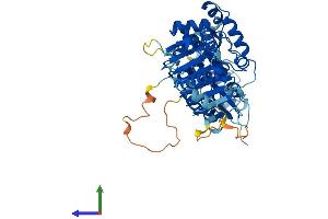 Protein Structure (PS) image for TBCC Domain Containing 1 (TBCCD1) (AA 1-557) protein (His tag) (ABIN7544169)