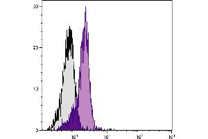 BALB/c mouse splenocytes were stained with Rat Anti-Mouse CD31-FITC. (CD31 antibody  (FITC))