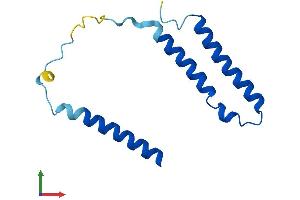 AlphaFold protein structure predicition of Mouse Recombinant mt-Nd3 Protein, UniprotID P03899 (MT-ND3 Protein (AA 1-115) (His tag))
