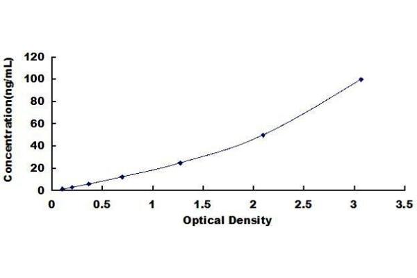 CTRB1 ELISA Kit