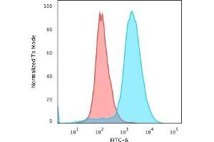 Flow Cytometric Analysis of paraformaldehyde-fixed Jurkat cells with Double Stranded DNA Mouse Monoclonal Antibody (121-3)followed by Goat anti-Mouse IgG-CF488 (Blue) Isotype Control (Red) (dsDNA antibody)