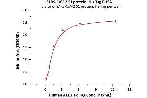 Immobilized SARS-CoV-2 S1 protein, His Tag (ABIN6992361) at 2 μg/mL (100 μL/well) can bind Human ACE2, Fc Tag (ABIN6952459,ABIN6952465) with a linear range of 0. (SARS-CoV-2 Spike S1 Protein (P.1 - gamma) (His tag))
