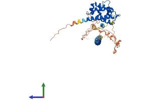 AlphaFold protein structure predicition of Human Recombinant RUNDC3A Protein, UniprotID Q59EK9 (RUNDC3A Protein (AA 1-446) (His tag))