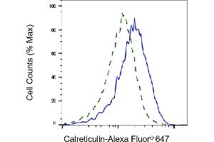Validation of Calreticulin knockdown using flow cytometry. (Recombinant Calreticulin antibody)