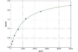 Chemokine (C-C Motif) Receptor-Like 1 (CCRL1) ELISA Kit