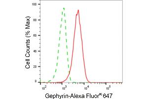 Flow cytometric analysis of Gephyrin expression in HAP-1 cells using Gephyrin antibody (ABIN7798714), 1:2,000). (Gephyrin antibody)