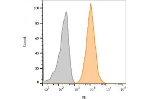Flow cytometry Analysis of live MCF-7 cells unstained (gray) or stained with biotin-labeled CD63 monoclonal antibody (NKI-C3) followed by streptavidin-CF568 (orange). (CD63 antibody)