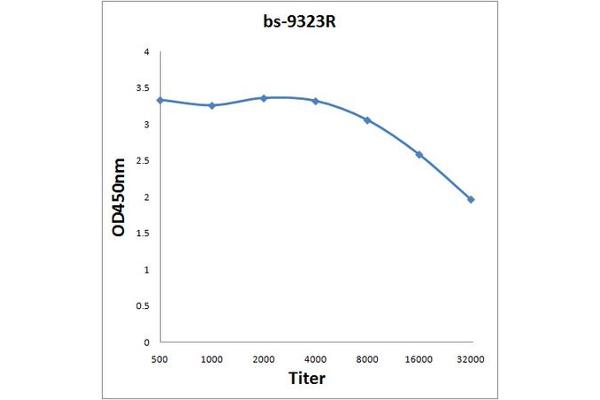 RANBP2 antibody