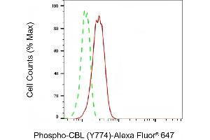Flow cytometric analysis of Phospho-CBL (Y774) expression in HT- cells using Phospho-CBL (Y774) antibody (ABIN7797878), 1:2,000). (Recombinant CBL antibody  (pTyr774))