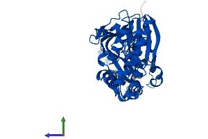 AlphaFold protein structure predicition of Mouse Recombinant Pank3 Protein, UniprotID Q8R2W9 (PANK3 Protein (AA 1-370) (His tag))