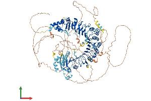 AlphaFold protein structure predicition of Mouse Recombinant Fbxo38 Protein, UniprotID Q8BMI0