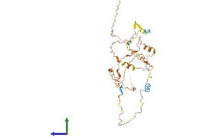 AlphaFold protein structure predicition of Human Recombinant POM121L12 Protein, UniprotID Q8N7R1 (POM121L12 Protein (AA 1-296) (His tag))