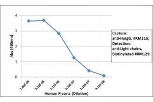 Sandwich ELISA of human plasma using the recombinant Human IgG antibody (clone RM116) as the capture (100ng/well), and biotinylated human light chains (, kappa+ , lambda) antibody (clone RM129) as the detect (1ug/mL), followed by an alkaline phosphatase conjugated streptavidin. (Recombinant IGHG antibody)