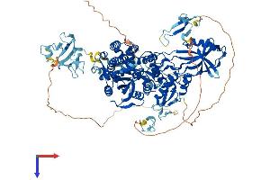 AlphaFold protein structure predicition of Human Recombinant TOP3A Protein, UniprotID Q13472 (TOP3A Protein (AA 1-1001) (His tag))