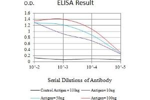 Black line: Control Antigen (100 ng),Purple line: Antigen (10 ng), Blue line: Antigen (50 ng), Red line:Antigen (100 ng) (nectin-3 antibody  (AA 282-404))