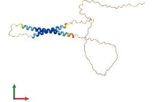 Protein Structure (PS) image for Neurensin 2 (NRSN2) (AA 1-202) protein (His tag) (ABIN7557461)