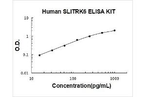 SLIT and NTRK-Like Family, Member 6 (SLITRK6) ELISA Kit
