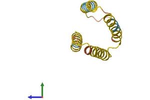 AlphaFold protein structure predicition of Human Recombinant TMEM14DP Protein, UniprotID A8MWL7 (TMEM14D Protein (AA 1-114) (His tag))
