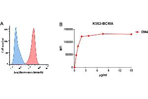 A. (BCMA antibody  (AA 1-54))