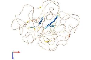 AlphaFold protein structure predicition of Mouse Recombinant Pom121 Protein, UniprotID Q8K3Z9