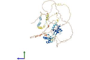 AlphaFold protein structure predicition of Human Recombinant MIER3 Protein, UniprotID Q7Z3K6 (MIER3 Protein (AA 1-550) (His tag))