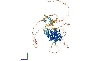 AlphaFold protein structure predicition of Mouse Recombinant Bmal2 Protein, UniprotID Q2VPD4 (ARNTL2 Protein (AA 1-579) (His tag))