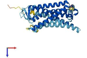 AlphaFold protein structure predicition of Human Recombinant OR14A2 Protein, UniprotID Q96R54 (OR14A2 Protein (AA 1-314) (His tag))