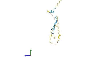 AlphaFold protein structure predicition of Mouse Recombinant Prr15 Protein, UniprotID Q9D1T5 (Proline Rich 15 Protein (PRR15) (AA 1-122) (His tag))