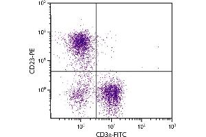 BALB/c mouse splenocytes were stained with Rat Anti-Mouse CD23-PE. (FCER2 antibody)