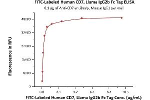 Immobilized Anti-CD7 antibody, Mouse IgG1 at 1 μg/mL (100 μL/well) can bind Fed Human CD7, Llama IgG2b Fc Tag (ABIN6973017) with a linear range of 0.