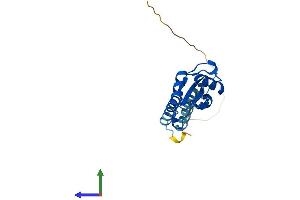 AlphaFold protein structure predicition of Human Recombinant C19orf81 Protein, UniprotID C9J6K1