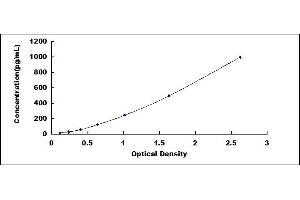 Typical standard curve