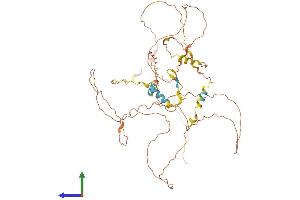 AlphaFold protein structure predicition of Human Recombinant CCDC8 Protein, UniprotID Q9H0W5 (CCDC8 Protein (AA 1-538) (His tag))