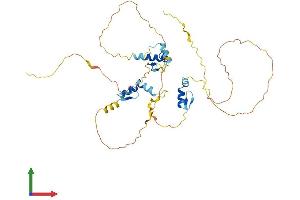 AlphaFold protein structure predicition of Human Recombinant ZNF385A Protein, UniprotID Q96PM9
