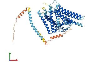 AlphaFold protein structure predicition of Mouse Recombinant Soat1 Protein, UniprotID Q61263