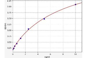 NR3C2 ELISA Kit