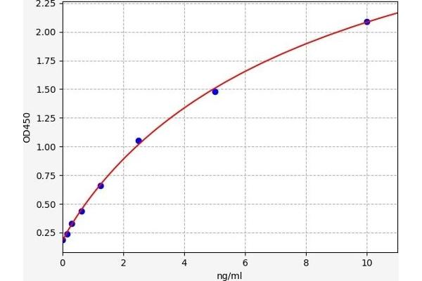 NR3C2 ELISA Kit