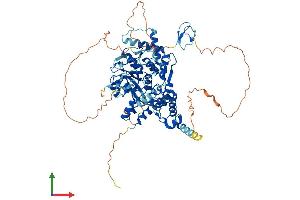 AlphaFold protein structure predicition of Human Recombinant ZRANB1 Protein, UniprotID Q9UGI0 (ZRANB1 Protein (AA 1-708) (His tag))