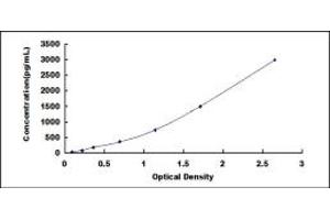 CXCL11 ELISA Kit