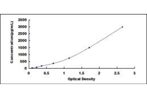 CXCL11 ELISA Kit