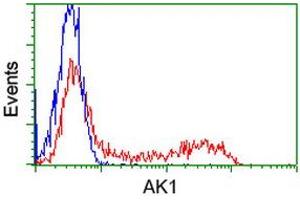 Flow Cytometry (FACS) image for anti-Adenylate Kinase 1 (AK1) antibody (ABIN1496514) (Adenylate Kinase 1 antibody)