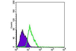 Flow cytometric analysis of PC-2 cells using MSI1 monoclonal antibody, clone 2A12  (green) and negative control (purple). (MSI1 antibody)