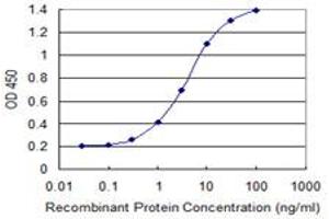 Detection limit for recombinant GST tagged PCDH8 is 0. (Protocadherin 8 antibody  (AA 32-120))
