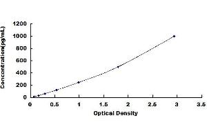 BMP2 ELISA Kit