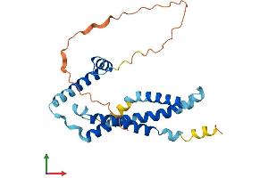 Protein Structure (PS) image for Transmembrane Protein 65 (TMEM65) (AA 1-240) protein (His tag) (ABIN7544491)
