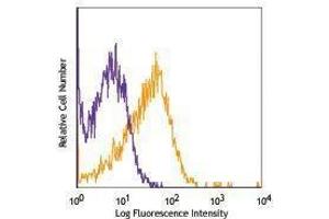 Flow Cytometry (FACS) image for anti-Endoglin (ENG) antibody (PE-Cy7) (ABIN2659411) (Endoglin antibody  (PE-Cy7))