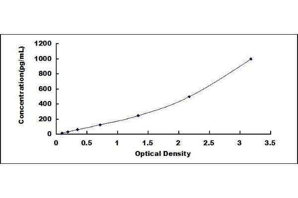 HSPG ELISA Kit