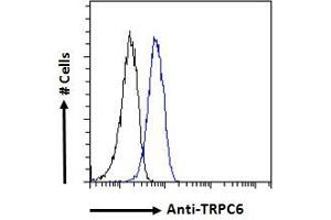 ABIN185460 Flow cytometric analysis of paraformaldehyde fixed A549 cells (blue line), permeabilized with 0. (TRPC6 antibody  (C-Term))