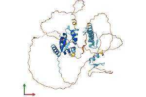 AlphaFold protein structure predicition of Human Recombinant ZBTB43 Protein, UniprotID O43298